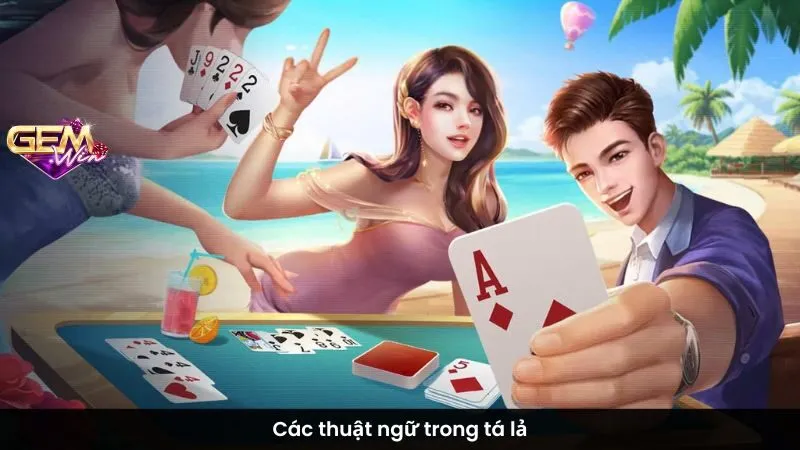 Các thuật ngữ trong tá lả