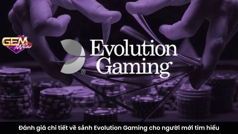 Đánh giá chi tiết về sảnh Evolution Gaming cho người mới tìm hiểu