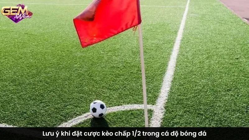 Lưu ý khi đặt cược kèo chấp 1/2 trong cá độ bóng đá