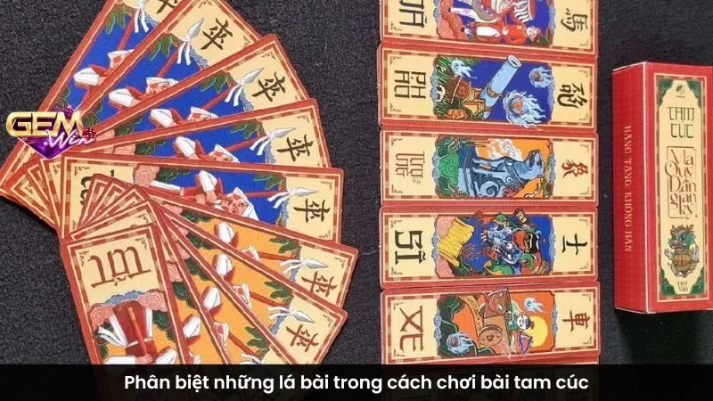 Phân biệt những lá bài trong cách chơi bài tam cúc