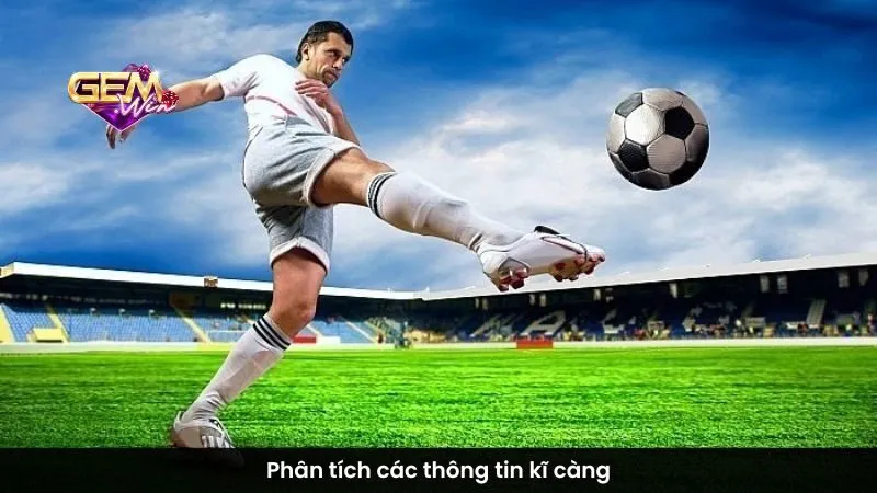 Phân tích các thông tin kĩ càng