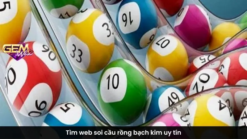 Tìm web soi cầu rồng bạch kim uy tín