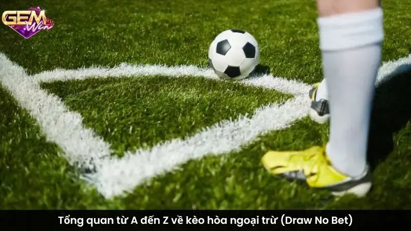 Tổng quan từ A đến Z về kèo hòa ngoại trừ (Draw No Bet)