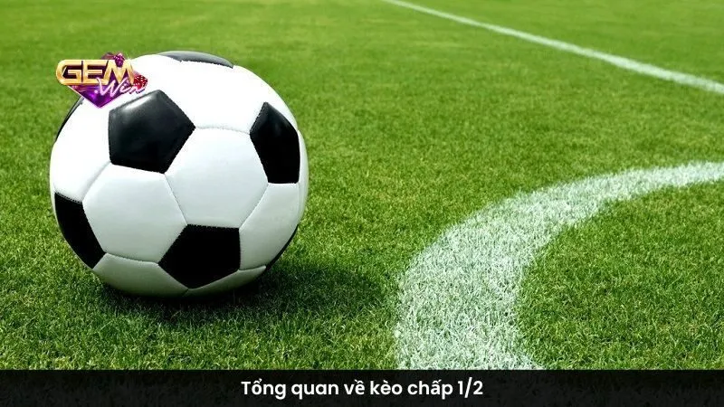 Tổng quan về kèo chấp 1/2