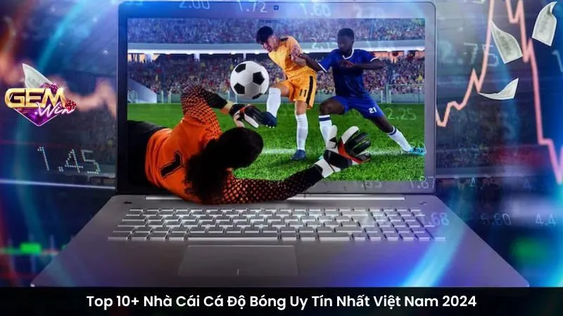 Top 10+ Nhà Cái Cá Độ Bóng Uy Tín Nhất Việt Nam 2024