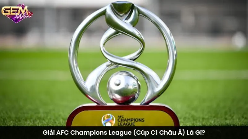 Giải AFC Champions League (Cúp C1 Châu Á) Là Gì?