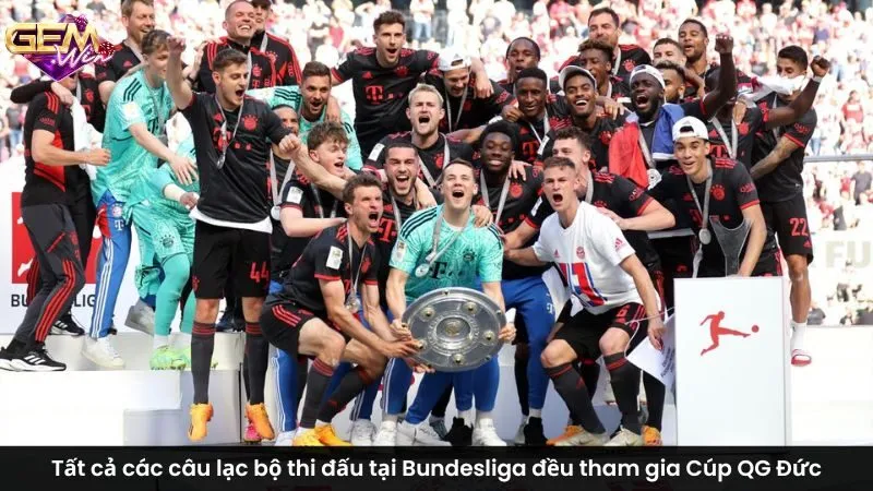 Tất cả các câu lạc bộ thi đấu tại Bundesliga đều tham gia Cúp QG Đức